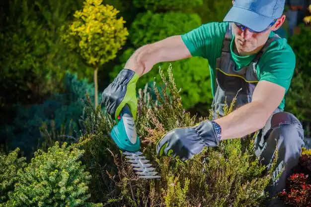 landscaping services Nelson